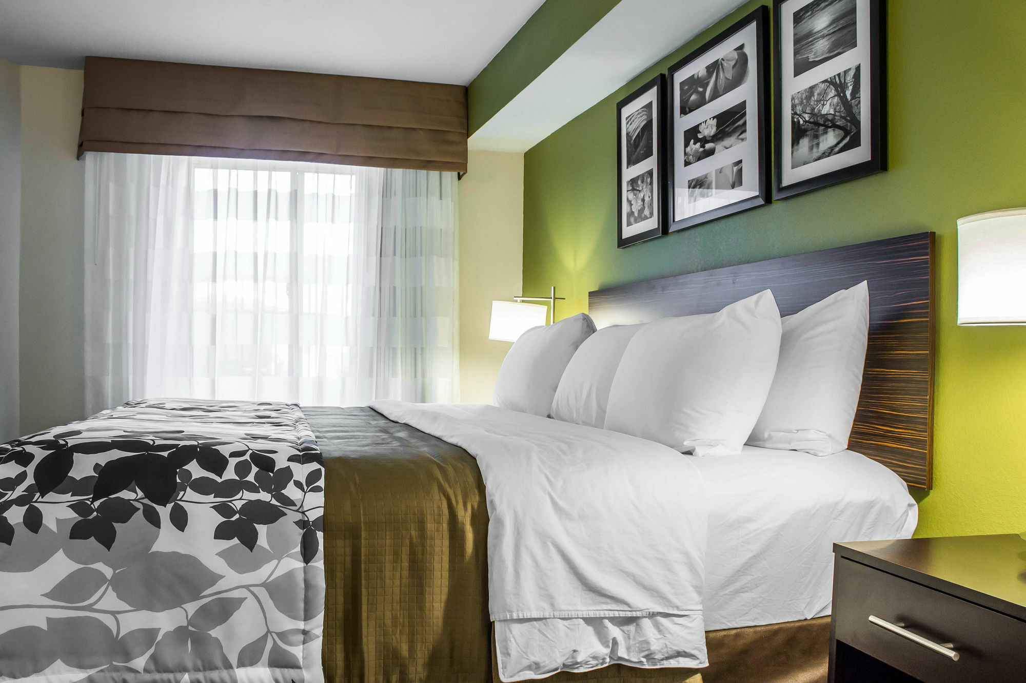 Surestay Plus By Best Western Mesa Superstition Springs Eksteriør bilde