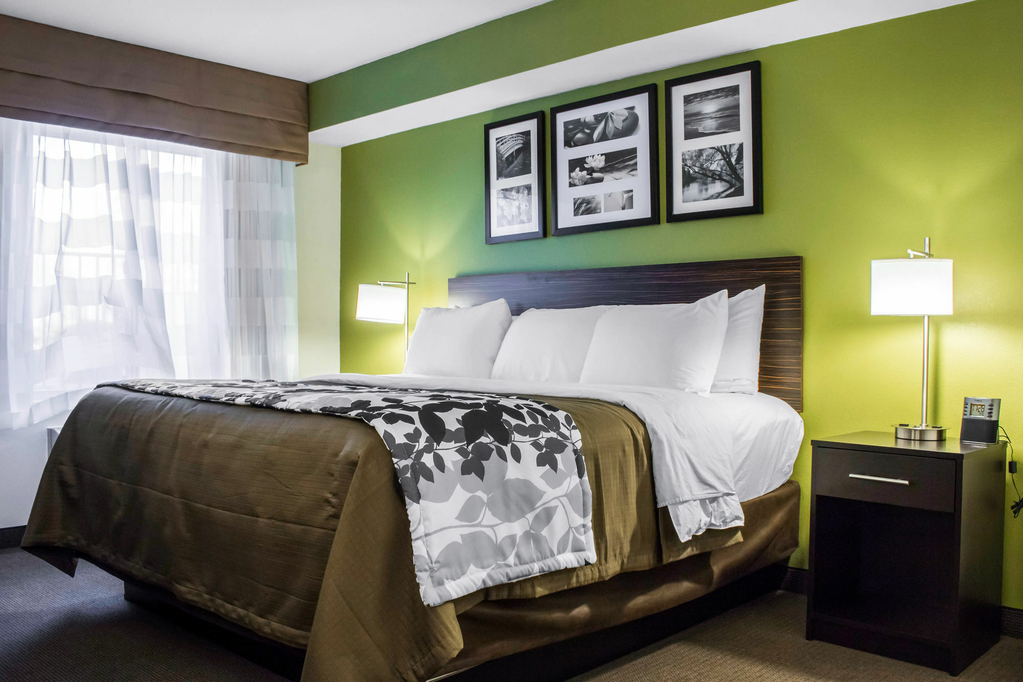 Surestay Plus By Best Western Mesa Superstition Springs Eksteriør bilde
