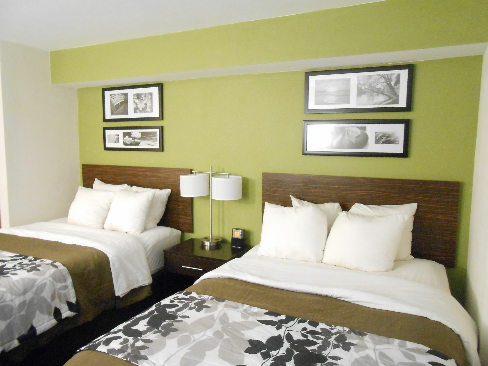 Surestay Plus By Best Western Mesa Superstition Springs Eksteriør bilde