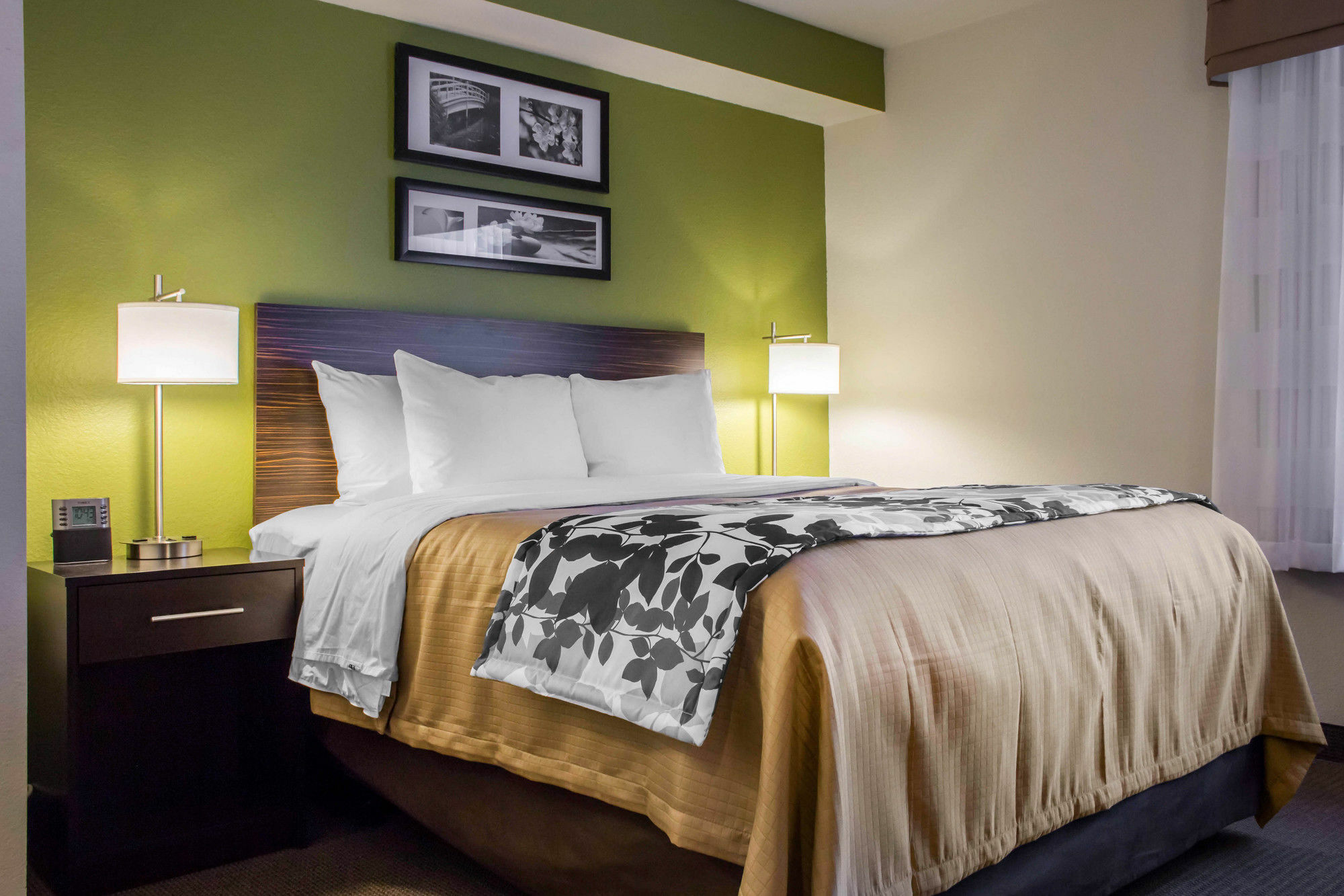 Surestay Plus By Best Western Mesa Superstition Springs Eksteriør bilde